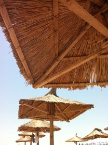 255163_1950188266844_4868718_n